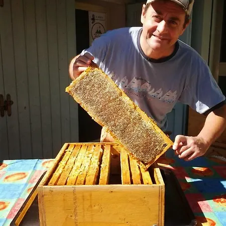 Bed and Breakfast Beeliving Room&breakfast (adults Only)