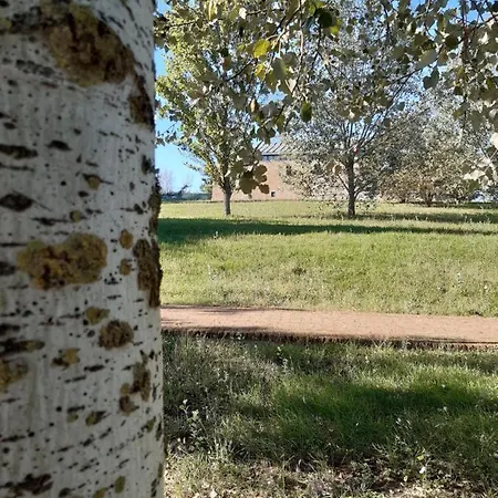 Bed and Breakfast Beeliving Room&breakfast (adults Only)