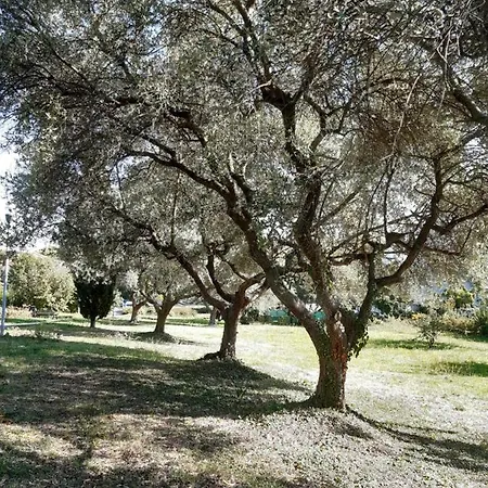 Beeliving Room&breakfast (adults Only)