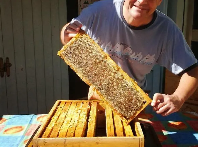 Bed & Breakfast Beeliving Room&breakfast (adults Only)