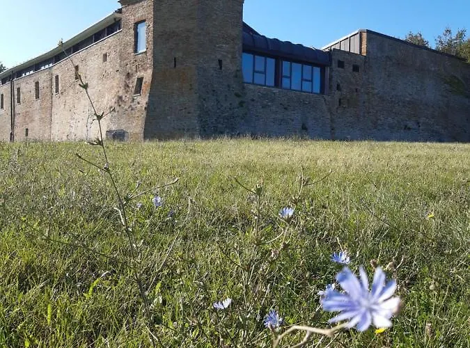 Beeliving Room&breakfast (adults Only) 3* 리치오네