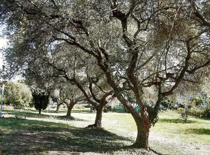 Beeliving Room&breakfast (adults Only)