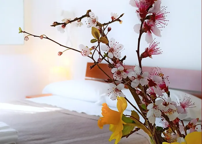 Beeliving Room&breakfast (adults Only) Riccione
