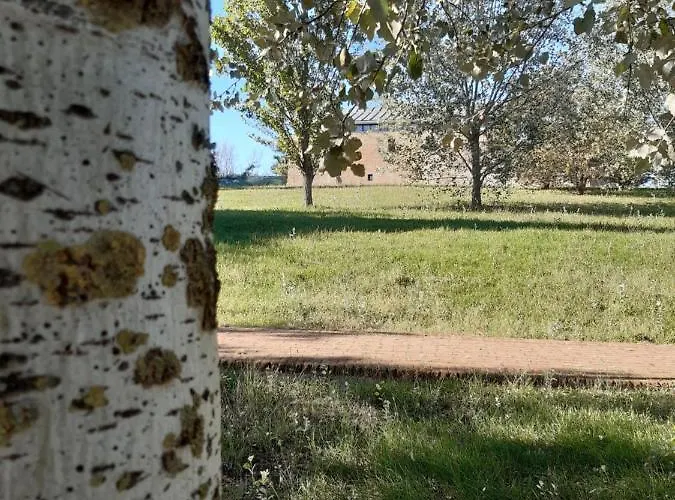 לינה וארוחת בוקר Beeliving Room&breakfast (adults Only)